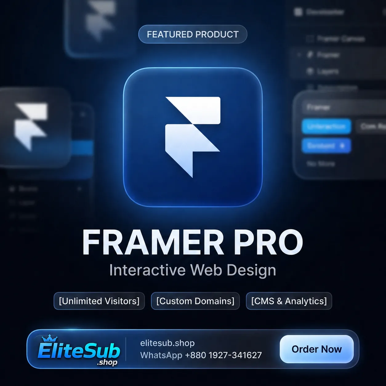 Framer Pro